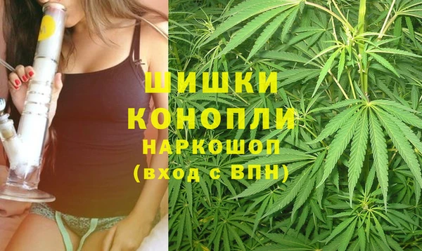 PSILOCYBIN Беломорск